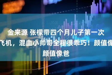 金来源 张檬带四个月儿子第一次坐飞机，混血小帅哥全程很乖巧！颜值像爸