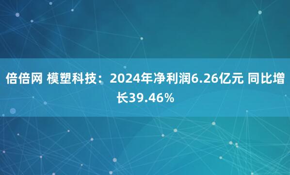 倍倍网 模塑科技：2024年净利润6.26亿元 同比增长39.46%